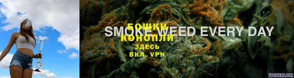 гидра Бородино