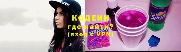 индика Усинск