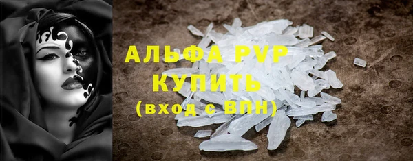 гидра Бородино